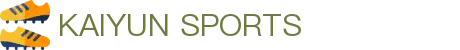 开云·体育APP(中国)下载入口|开云_KAIYUNSPORTS