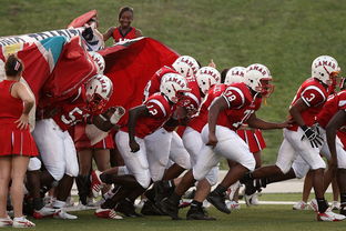 76人球队文化墙正式揭幕展示历史荣誉，76人队图案